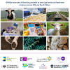 £2.95m Innovate UK funding awarded to nine agri-tech and food-tech projects across Mid and North Wales ENG