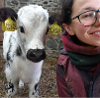 Dyfi Dairies 