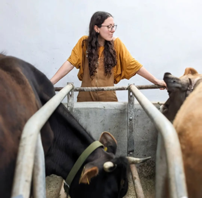 Dyfi Dairies Sophia Dyfi Dairies founder